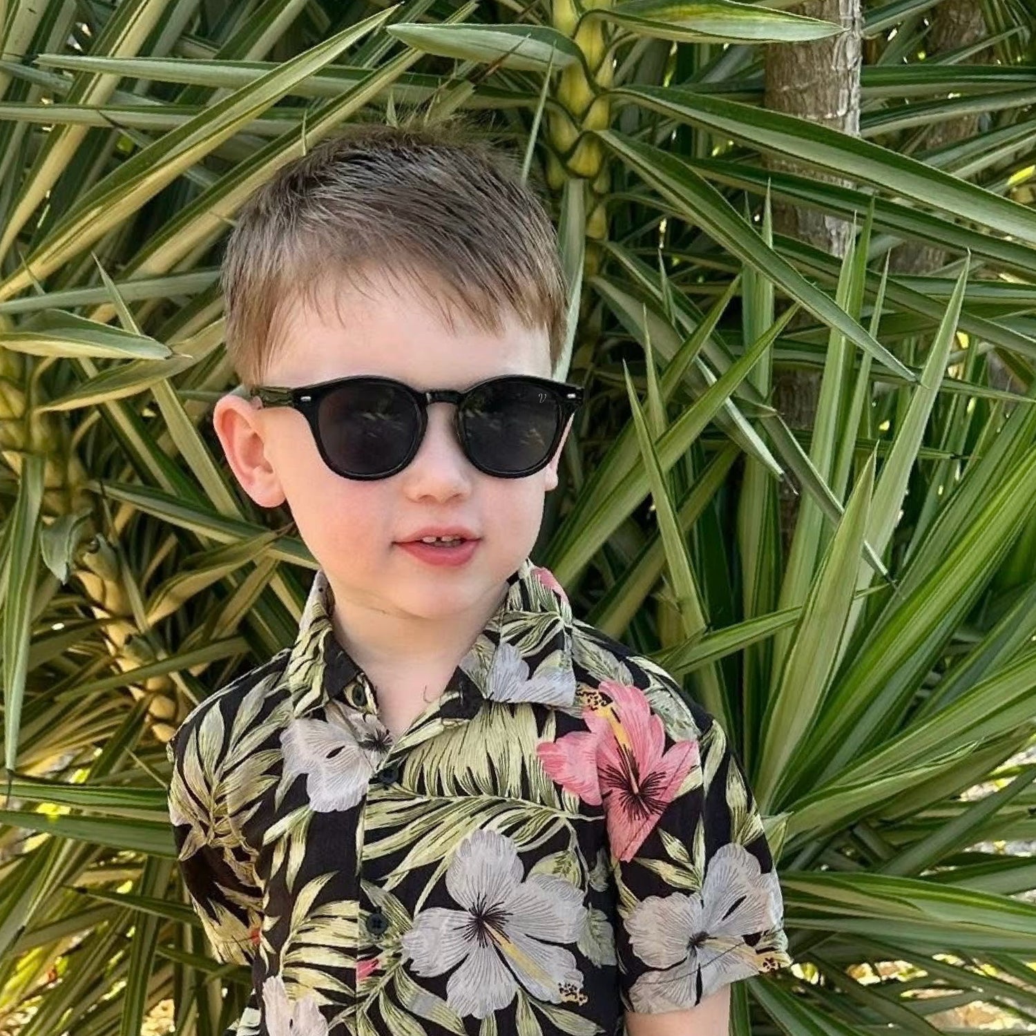 Vinalls Sunglasses