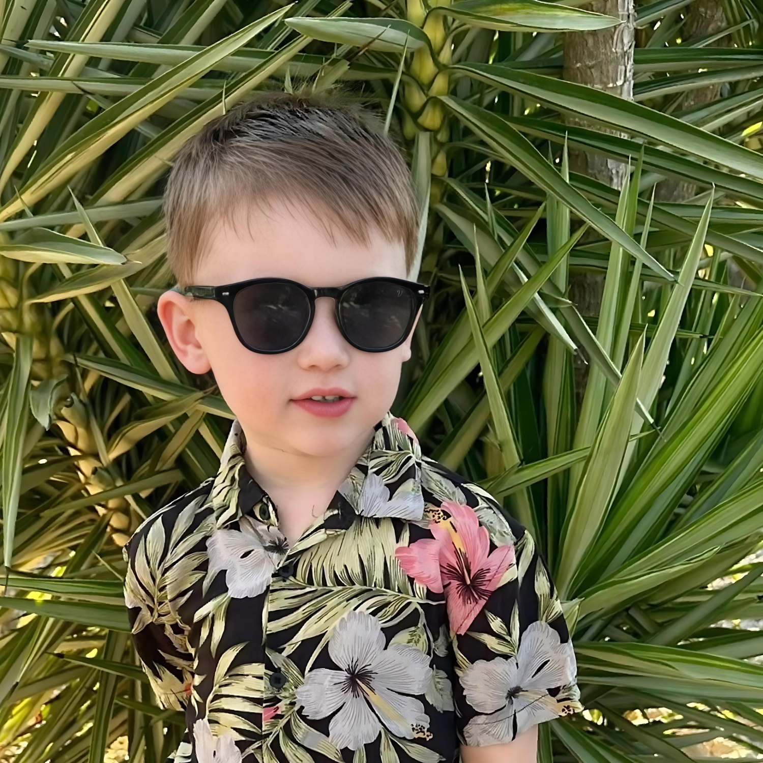 Vinalls Sunglasses